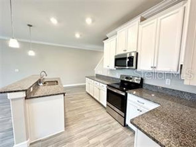 2201 CERULEAN SKY DRIVE, Lutz, FL 33558