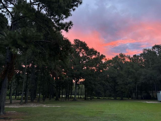 1166 County Road 3663, Splendora, TX 77372