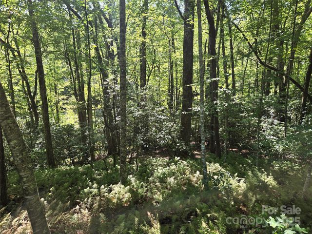 88 Ladd Ridge, Rosman, NC 28772
