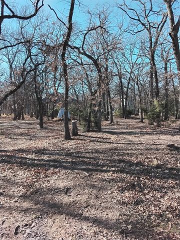 1159 Mikus Road, Weatherford, TX 76087