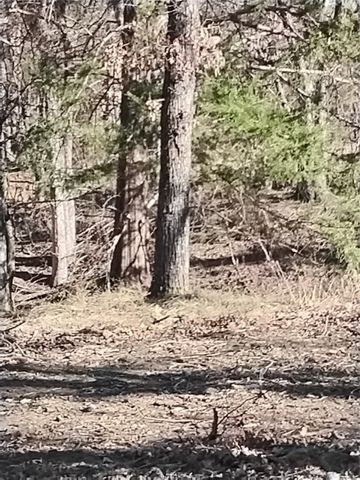 1159 Mikus Road, Weatherford, TX 76087