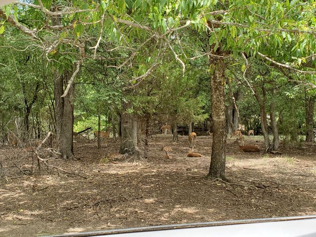 1159 Mikus Road, Weatherford, TX 76087