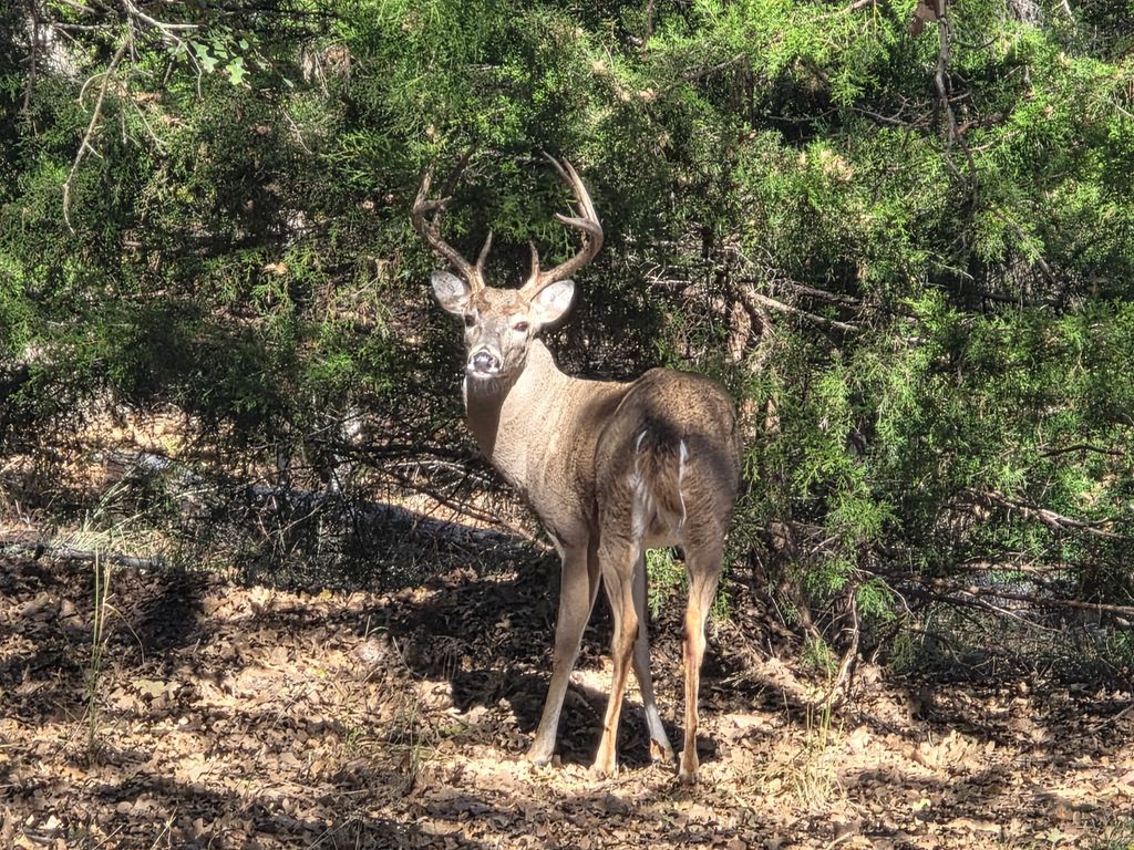 1159 Mikus Road, Weatherford, TX 76087