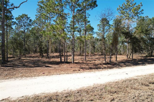 SE 134TH TERRACE, Morriston, FL 32668