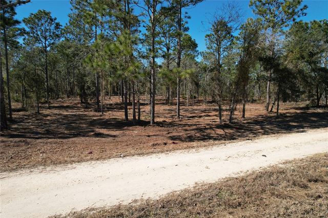 SE 134TH TERRACE, Morriston, FL 32668