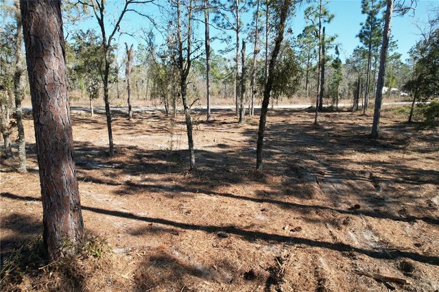 SE 134TH TERRACE, Morriston, FL 32668