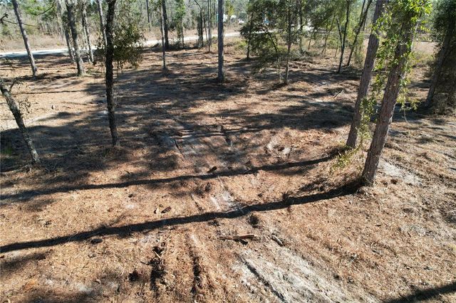 SE 134TH TERRACE, Morriston, FL 32668