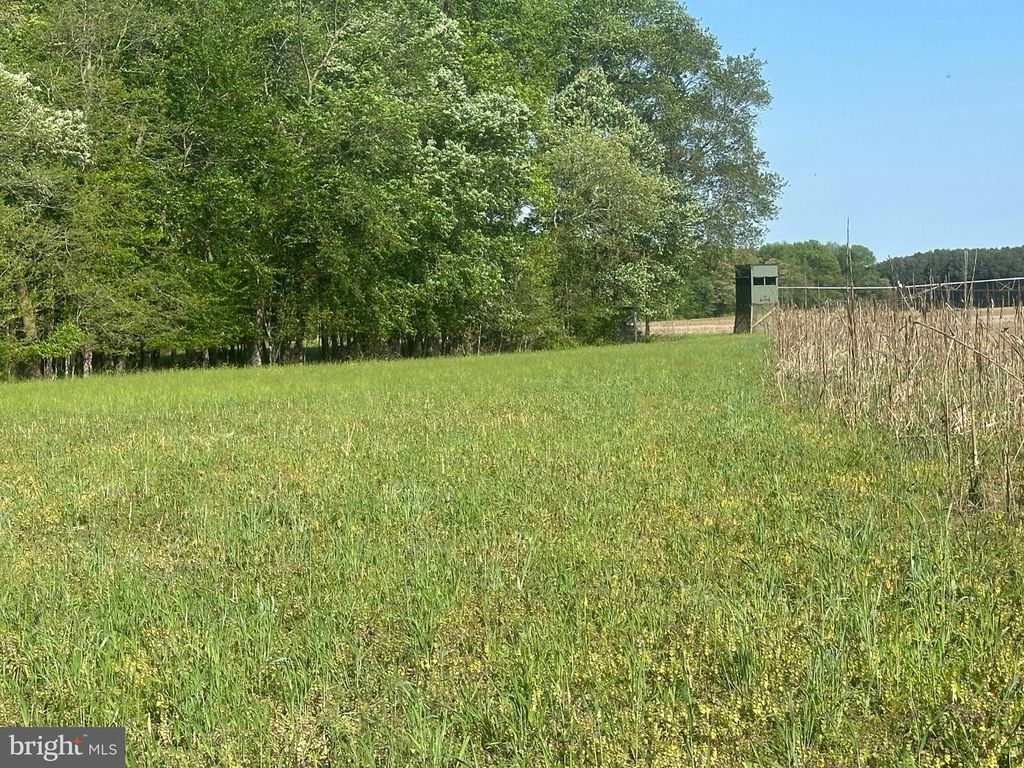 MARBLEHEAD RD, Ridgely, MD 21660