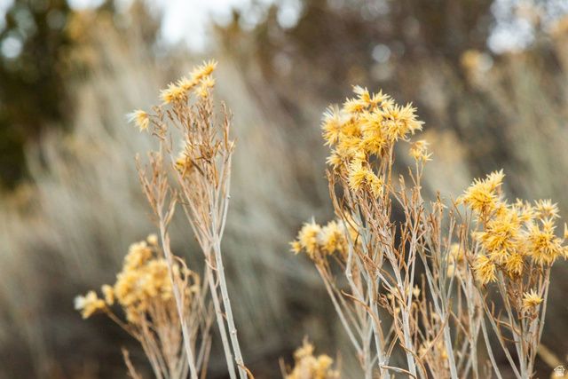 310 S Maryfield Dr Unit 307, Salt Lake City, UT 84108