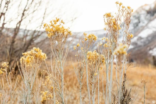 310 S Maryfield Dr Unit 307, Salt Lake City, UT 84108