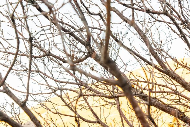 310 S Maryfield Dr Unit 307, Salt Lake City, UT 84108