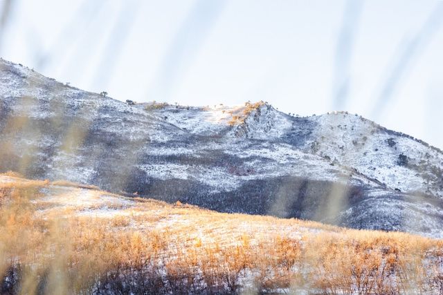 310 S Maryfield Dr Unit 307, Salt Lake City, UT 84108