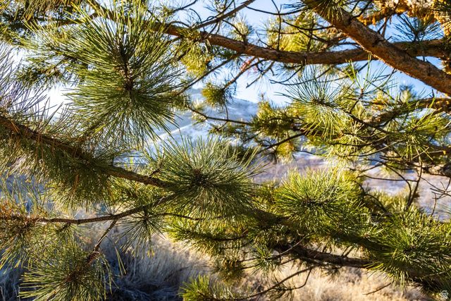 310 S Maryfield Dr Unit 307, Salt Lake City, UT 84108