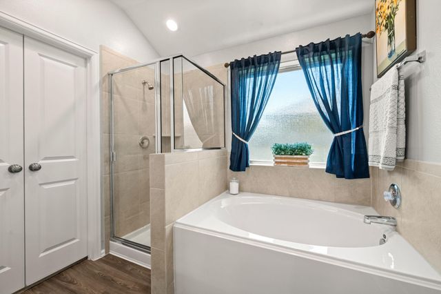 19155 Pinewood Grove Trail, New Caney, TX 77357