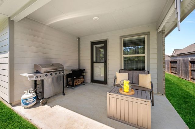 19155 Pinewood Grove Trail, New Caney, TX 77357