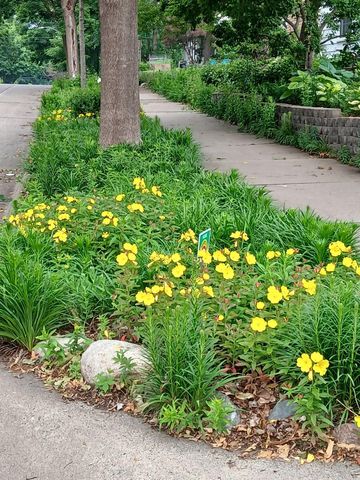 3700 Thomas Avenue N, Minneapolis, MN 55412