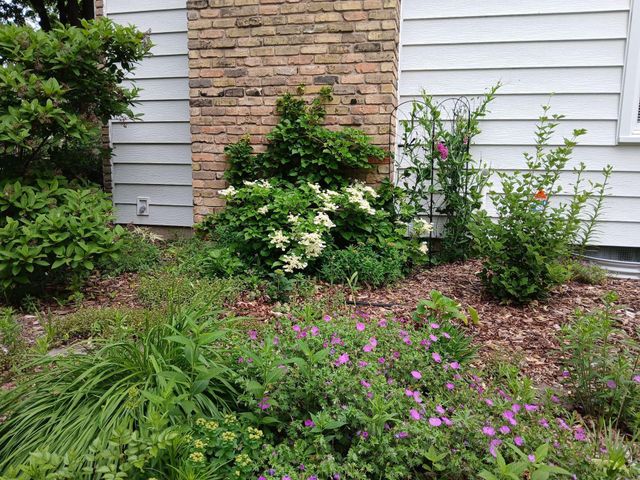 3700 Thomas Avenue N, Minneapolis, MN 55412