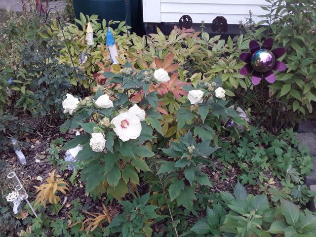 3700 Thomas Avenue N, Minneapolis, MN 55412