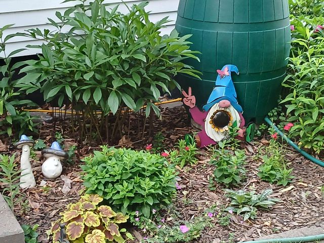 3700 Thomas Avenue N, Minneapolis, MN 55412