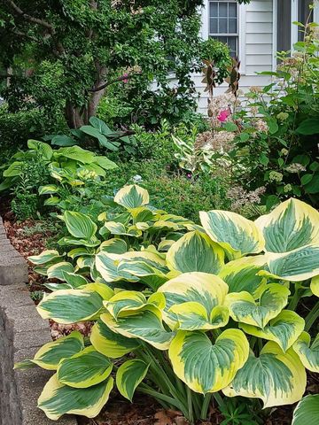 3700 Thomas Avenue N, Minneapolis, MN 55412