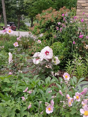 3700 Thomas Avenue N, Minneapolis, MN 55412