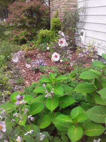 3700 Thomas Avenue N, Minneapolis, MN 55412