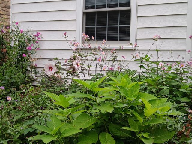 3700 Thomas Avenue N, Minneapolis, MN 55412