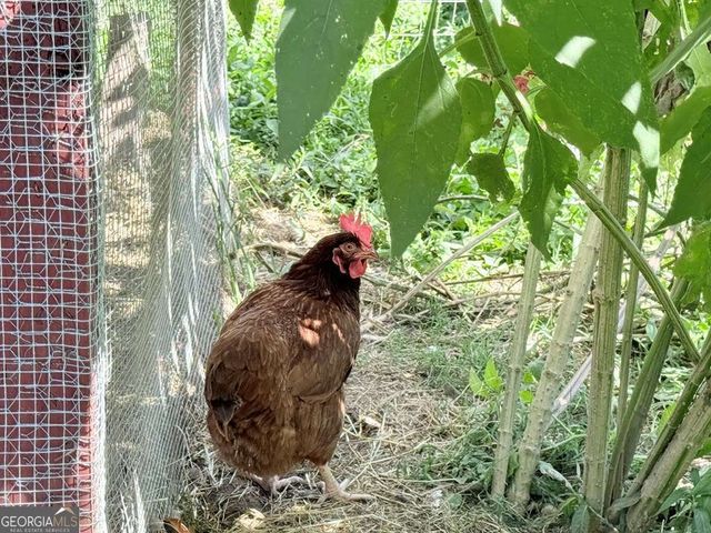 10809 Beaver Dam Road, Murphy, NC 28906