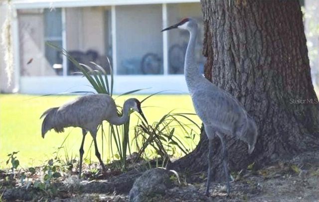 1519 CLUB CIR, Lakeshore, FL 33854