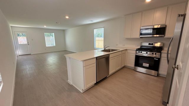 913 Pertuso Lane, Huffman, TX 77336