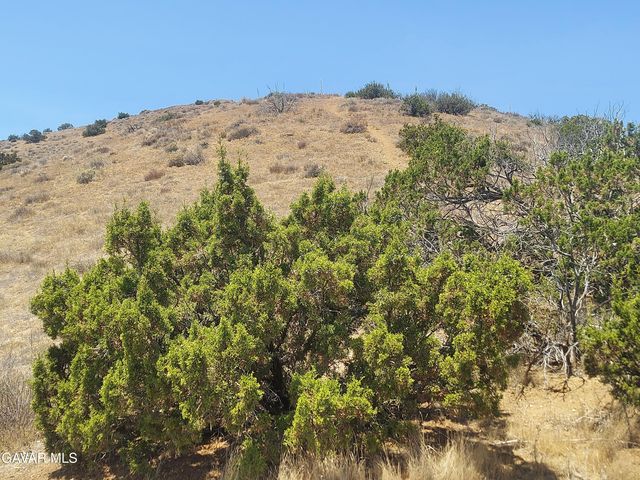 1 Governor Mine Road Road, Acton, CA 93510