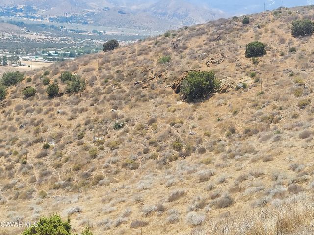 1 Governor Mine Road Road, Acton, CA 93510