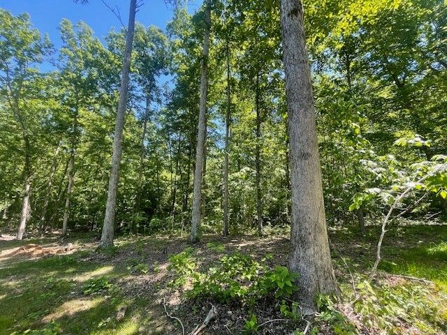 700 Hillcrest Rd, Waverly, TN 37185