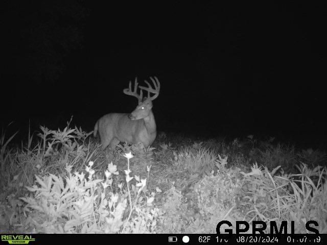 2910 S County Road 29, Valley, NE 68064