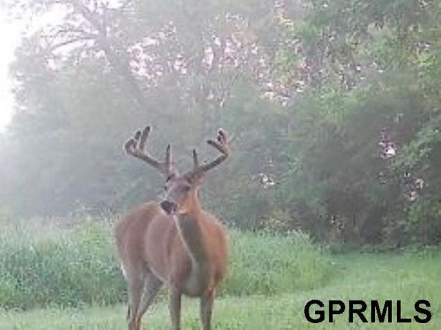 2910 S County Road 29, Valley, NE 68064