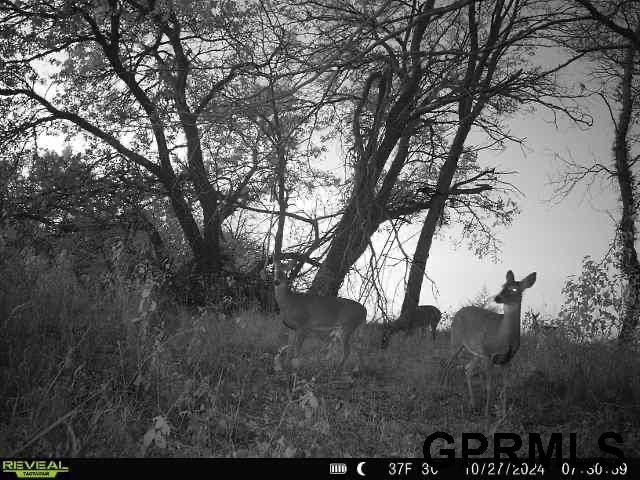 2910 S County Road 29, Valley, NE 68064