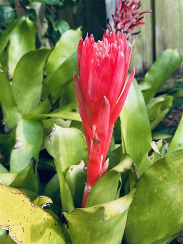 4618 KATY DRIVE, New Smyrna Beach, FL 32169