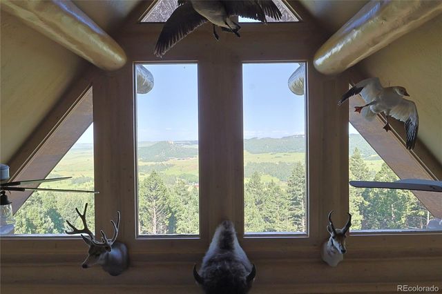 13525 Woodmoor West Drive, Larkspur, CO 80118