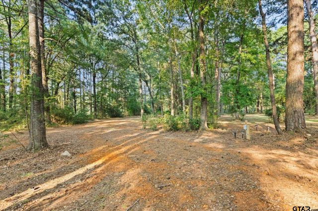 286 Hall Dr, Longview, TX 75605