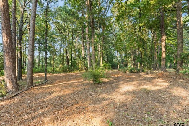 286 Hall Dr, Longview, TX 75605