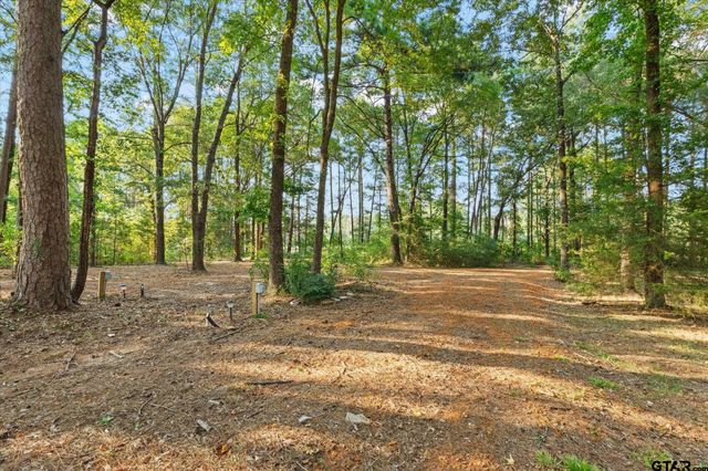 286 Hall Dr, Longview, TX 75605