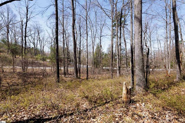 10 Donatello Court Lot 94, Greenville, SC 29609