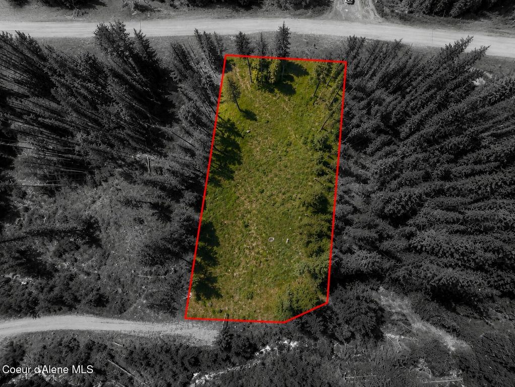 Lot 5 Kalispell Meadows, Priest Lake, ID 83856 photo 2