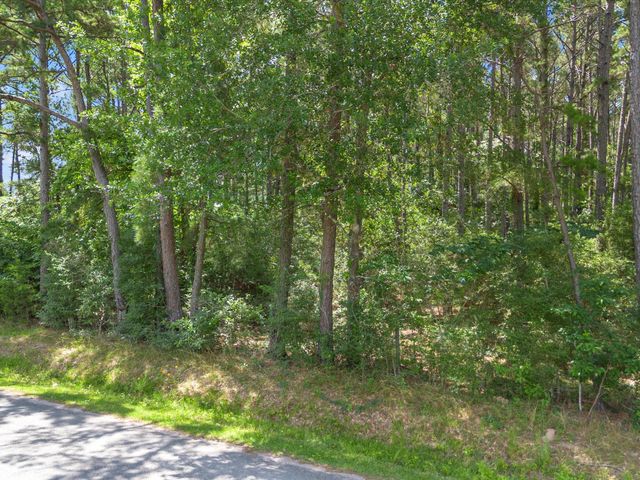 23717 Pinewood Valley Drive, Hockley, TX 77447