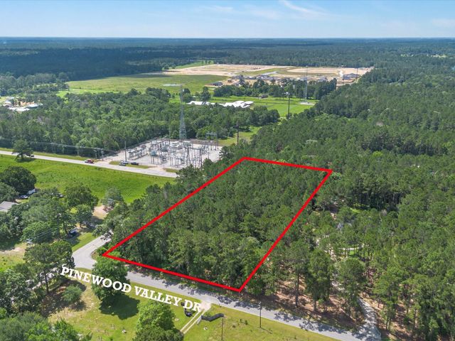 23717 Pinewood Valley Drive, Hockley, TX 77447