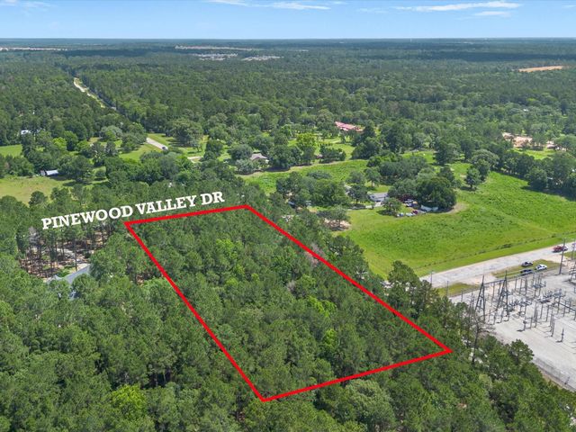 23717 Pinewood Valley Drive, Hockley, TX 77447