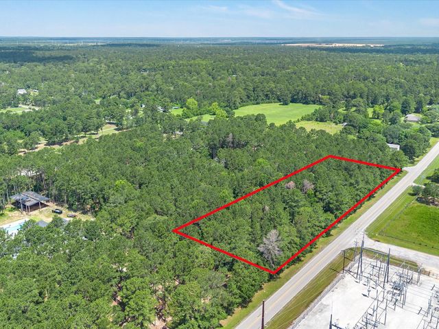 23717 Pinewood Valley Drive, Hockley, TX 77447