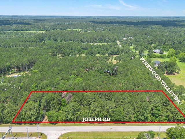 23717 Pinewood Valley Drive, Hockley, TX 77447