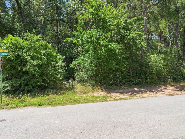23717 Pinewood Valley Drive, Hockley, TX 77447