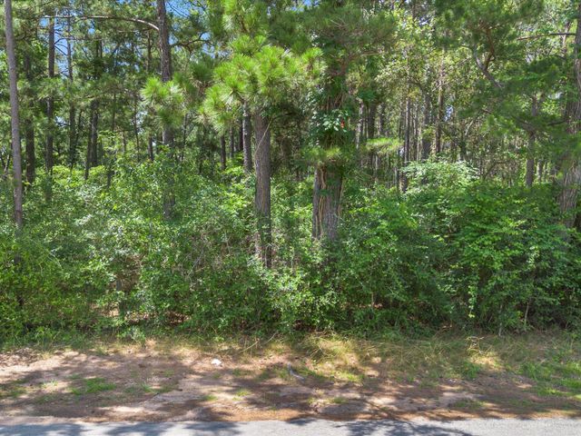 23717 Pinewood Valley Drive, Hockley, TX 77447